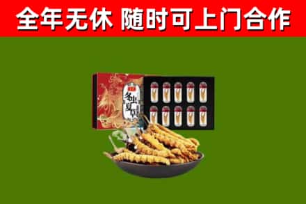 阿克苏回收冬虫夏草价格